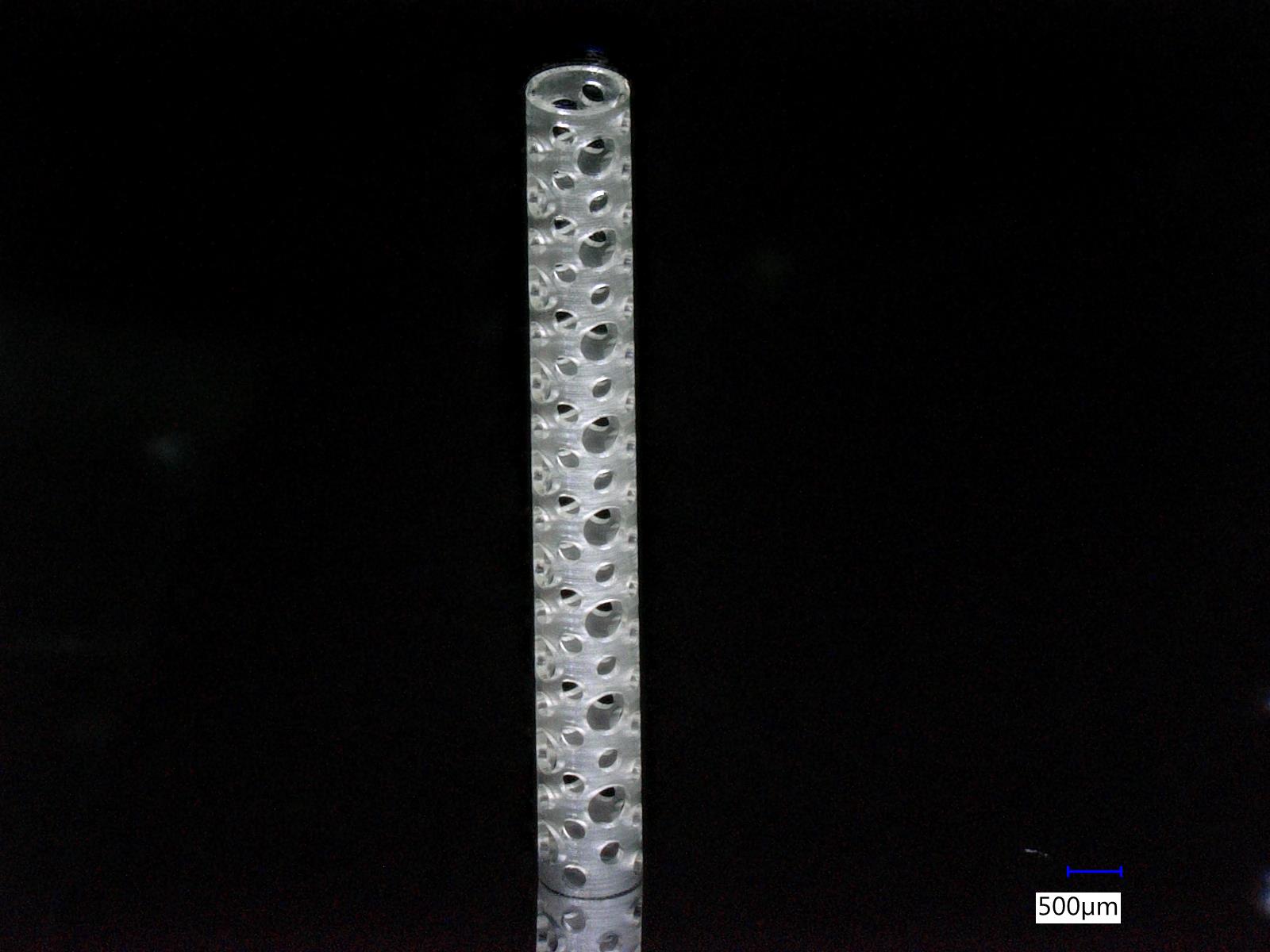 Nanoscribe Perforated Stent Tube